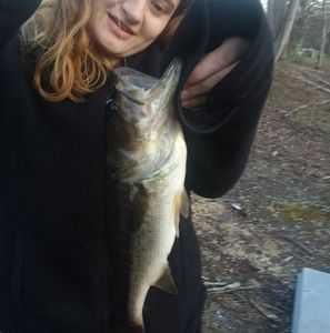 Meet your Posher, Margaret